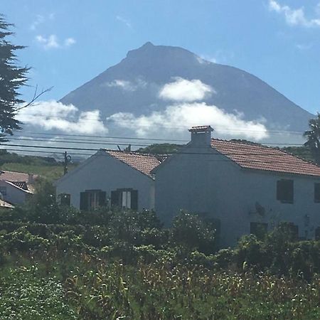 Home Pico - Casa Dos Cedros Criacao Velha Zewnętrze zdjęcie
