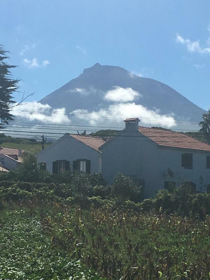 Home Pico - Casa Dos Cedros Criacao Velha Zewnętrze zdjęcie
